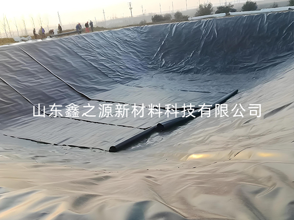 選擇防滲土工膜進行小龍蝦養(yǎng)殖有哪些要點技巧？