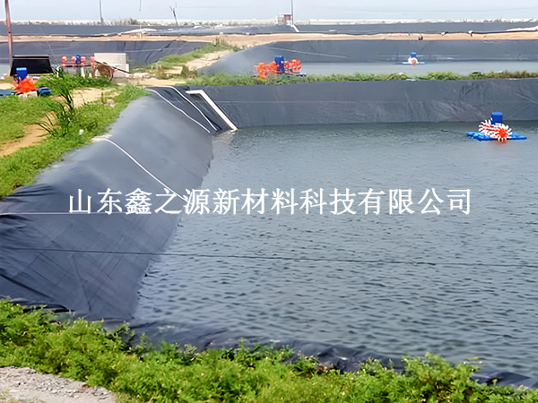 魚塘防滲膜存放技巧：輕松保鮮，以備不時之需