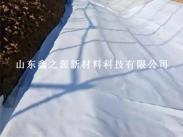 養(yǎng)護(hù)土工布水平鋪設(shè)總出問題？這些要求不懂就別開工