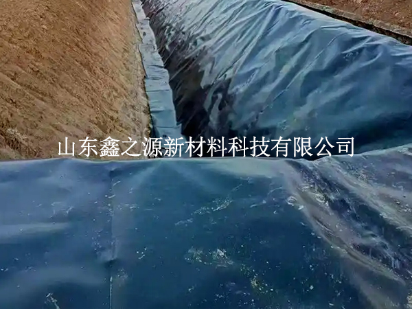 魚塘防滲膜焊縫漏了？這些檢測(cè)技巧一查一個(gè)準(zhǔn)