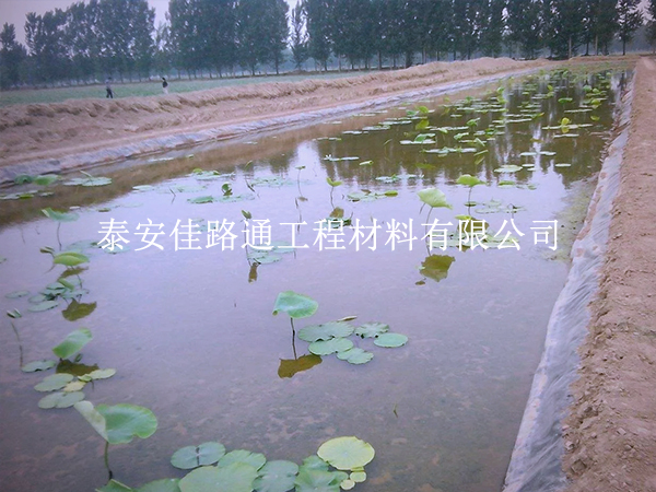 養(yǎng)殖防滲膜延伸率不足？根源在這些地方