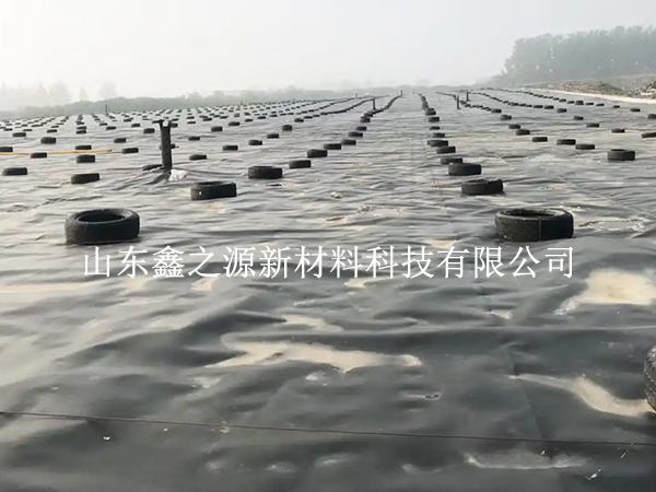 蓄水池防滲膜裁剪別亂剪，這些技巧更省心